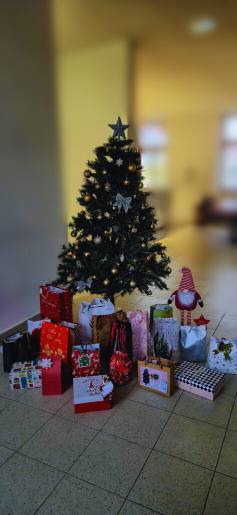 Bor s poklonima studentski dom