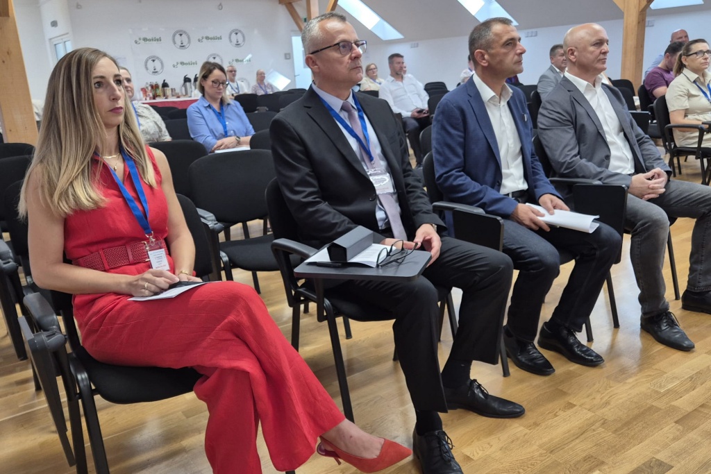 Konferencija o laboratorijskoj dijagnostici, MEV (6)